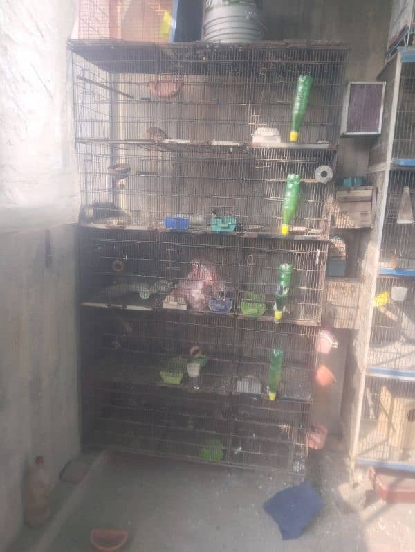 cage for sale 1