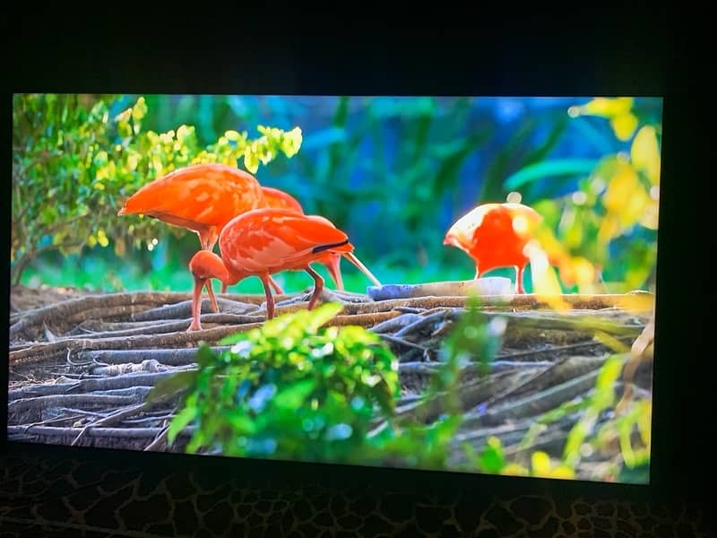 Samsung RU7400 Dynamic Crystal Colour HRD Smart 4K TV 55″ Inch 4