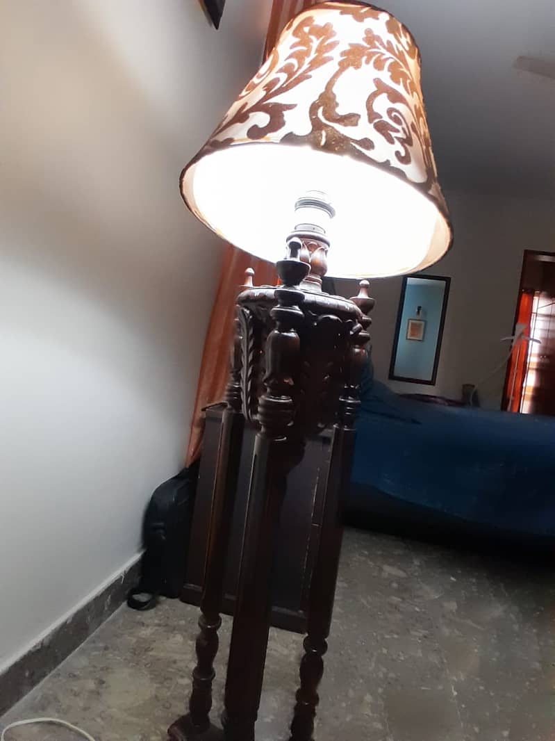 Beautiful Lamp 1