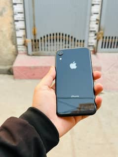 iphone xr waterpack non pta