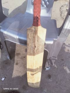 cricket bat