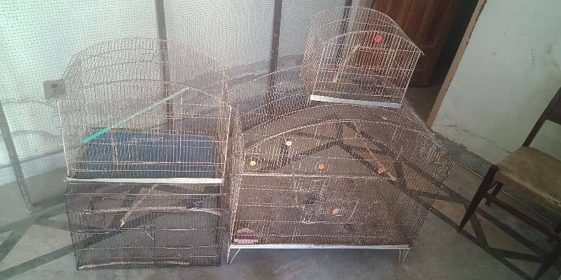 Doliyan+ cages for sale 0