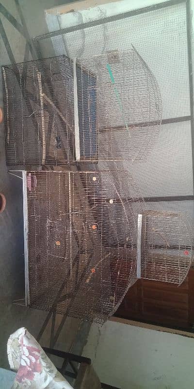 Doliyan+ cages for sale 1