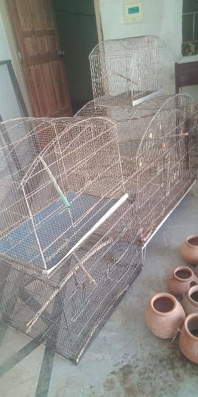 Doliyan+ cages for sale 3