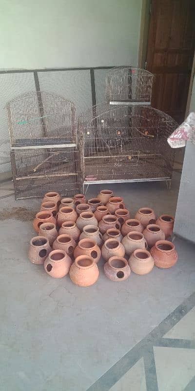 Doliyan+ cages for sale 5