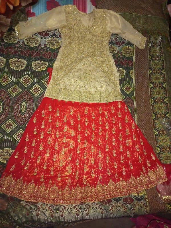 Bridals lehnga beautiful golden work on front shirt 4