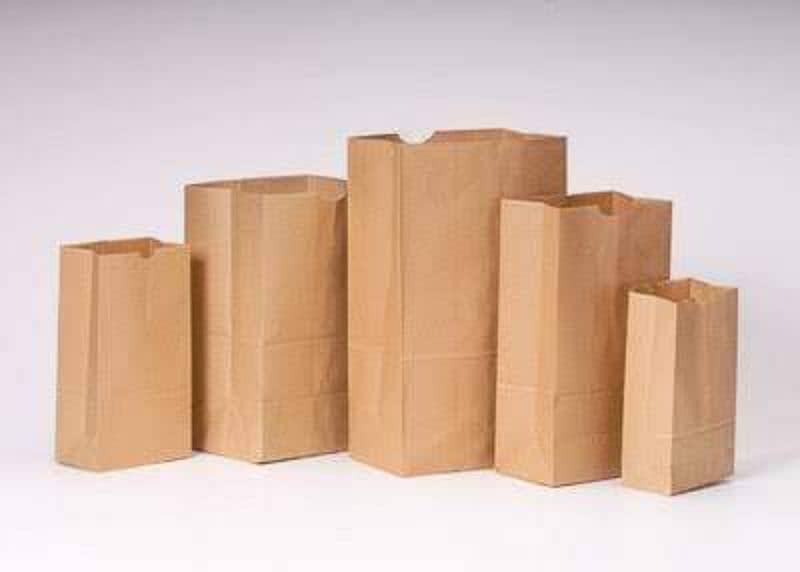 Paper Food Bag & Boxes|BurgerBox|PizzaBox|Butter paper 17