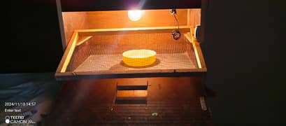 eggs incubate machine