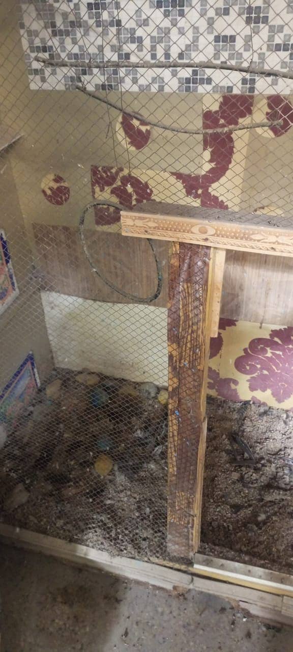 Big Pinjara Cage for Birds urgent sale 7