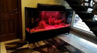 Aquriams/fish aquriums/fish/aquarium for sale/aquriam