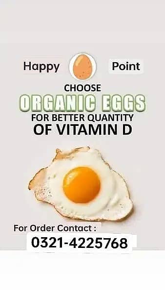 Desi Eggs / Organic Un-Fertile Eggs / دیسی انڈے | hens eggs for sale 2