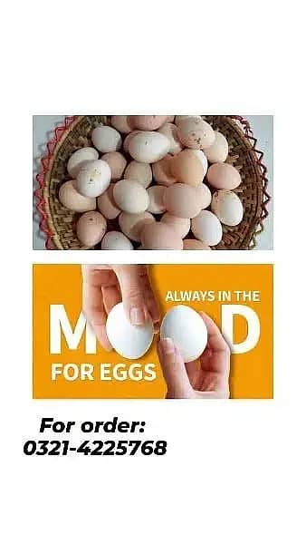 Desi Eggs / Organic Un-Fertile Eggs / دیسی انڈے | hens eggs for sale 3