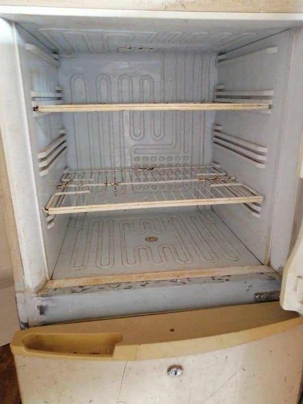 pel fridge 1