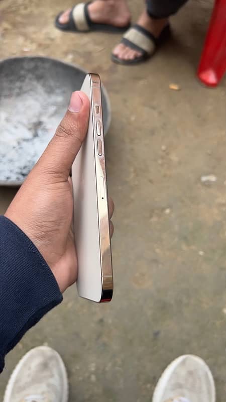 iPhone 12 pro max pta approved 5