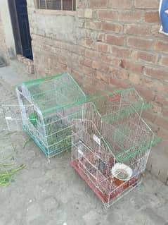 birds cages 6000 dono ka