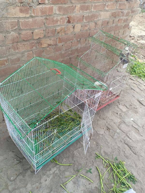 birds cages 6000 dono ka 1