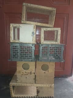 Birds cargo cages Available For Sale