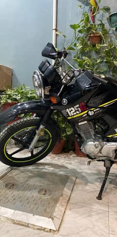 yamaha ybr for sell