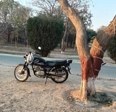 Suzuki 150 Se in Real Condition