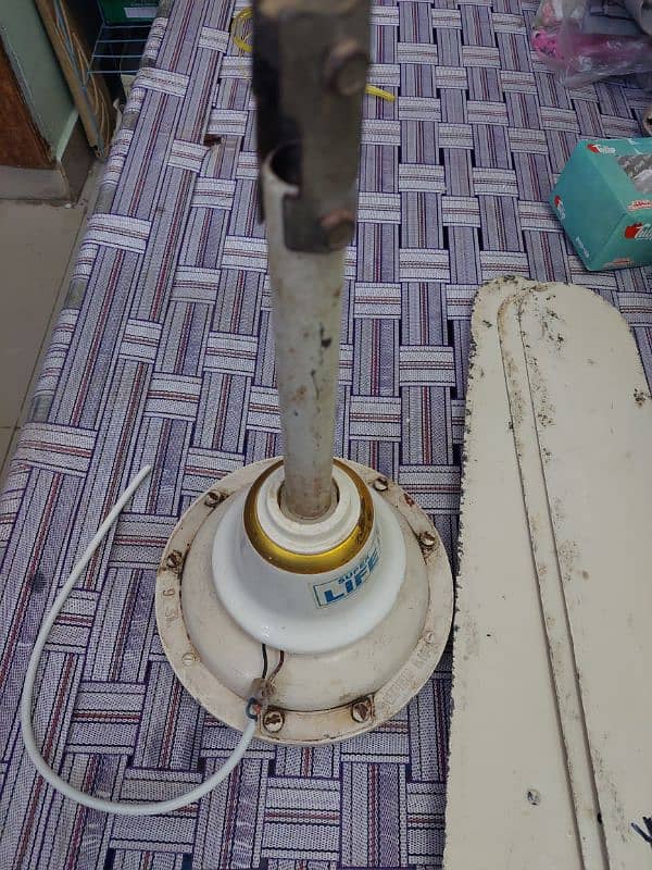 Ceiling fan for sell 2