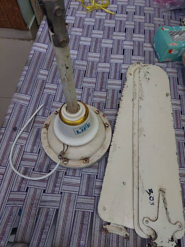 Ceiling fan for sell 3