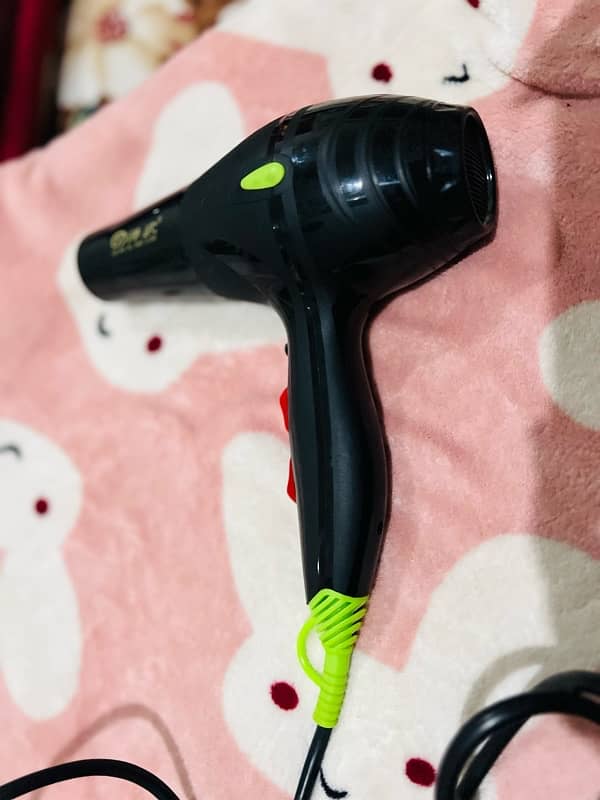 Professional hair dryer 2