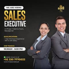 Sales Executive