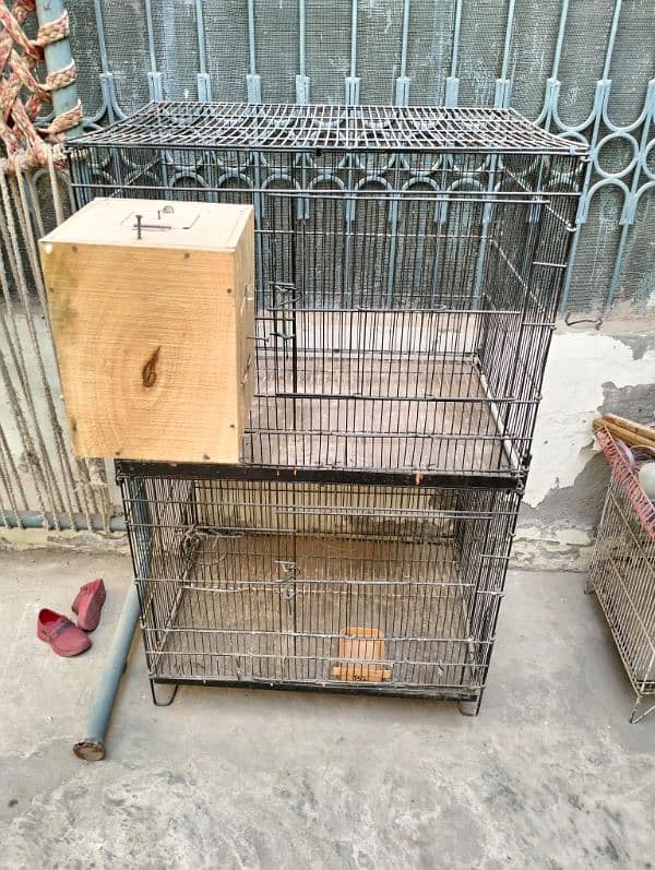 Cage Pinjra 2 portion 3