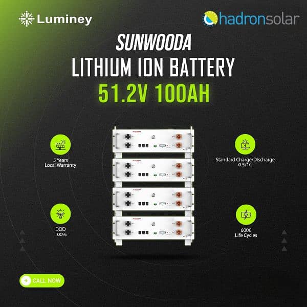 luminey Lithium Ion Battery 0