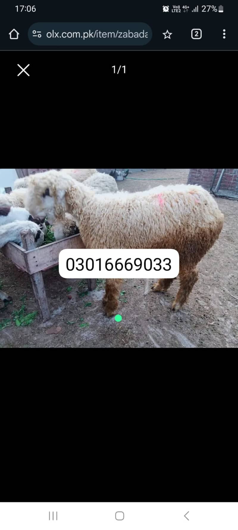 1 lakha Mundra for sale dabal hadi me 1