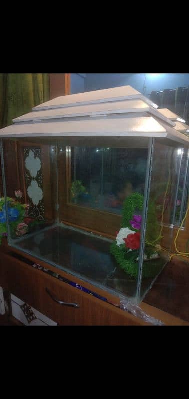 fish Aquarium 1