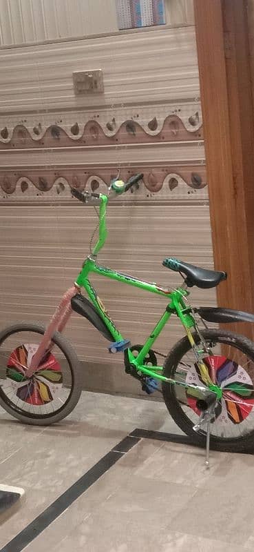 FANCY CYCLE GAIRO WALI 24 INCH 3