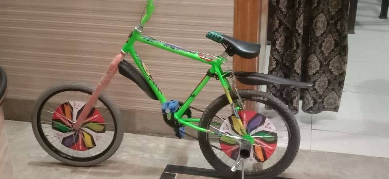 FANCY CYCLE GAIRO WALI 24 INCH 5