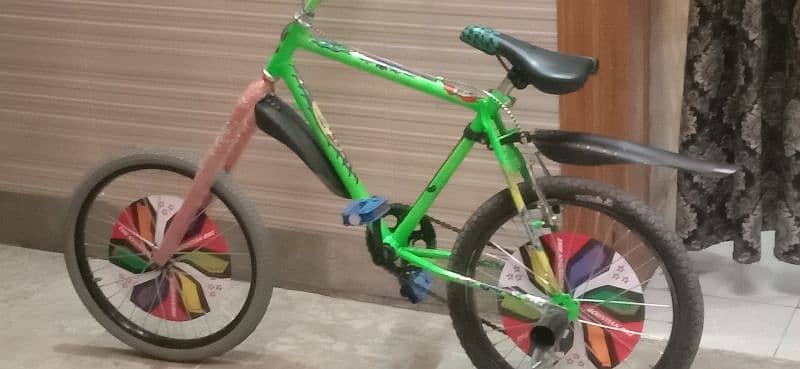 FANCY CYCLE GAIRO WALI 24 INCH 6