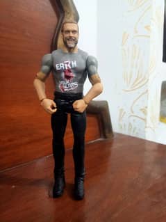 WWE action figure