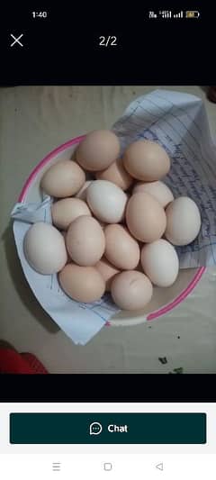 Desi Egg.  دیسی آنڈے