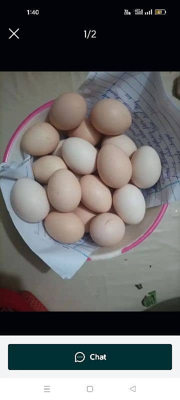 Desi Egg.  دیسی آنڈے 1