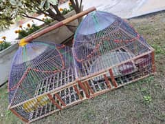 Birds cage