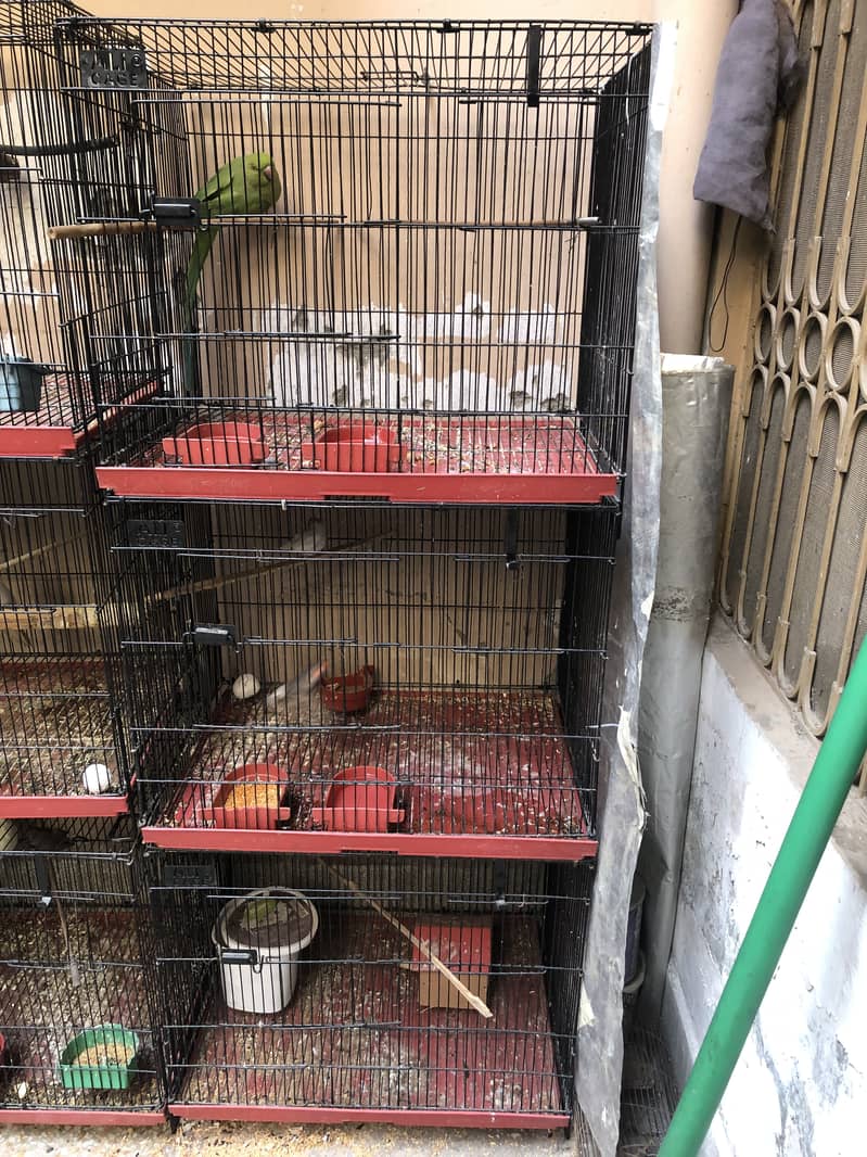 3 Cages For sale 0