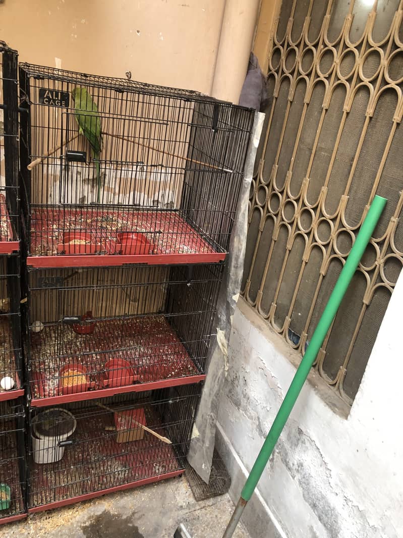 3 Cages For sale 3