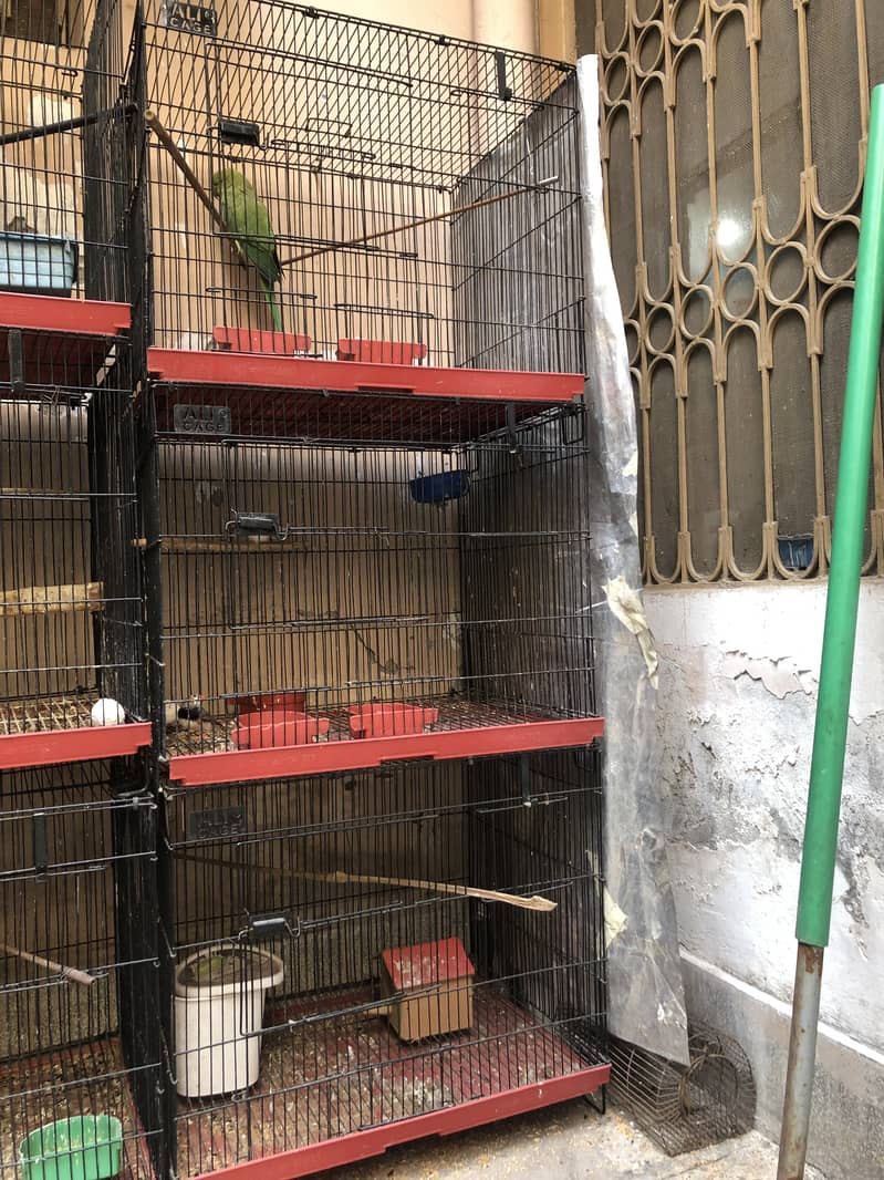 3 Cages For sale 4