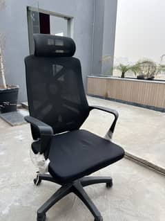 Executive Office Chair