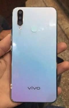 vivo