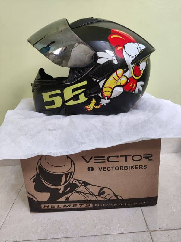 Vector Graphics Helmet 1