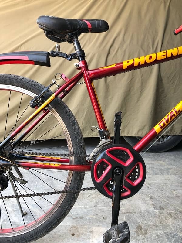 Phoenix Bicycle with Front and back gears. Full size for adults 10/10 3