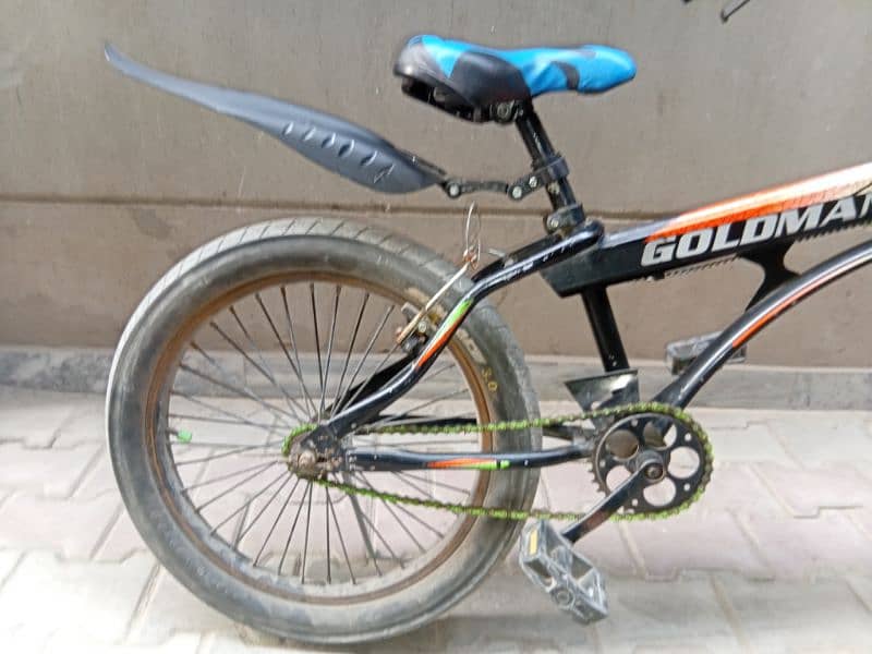 GOLDMAN FAT TYRES_ SPORTS BYCYLE 5