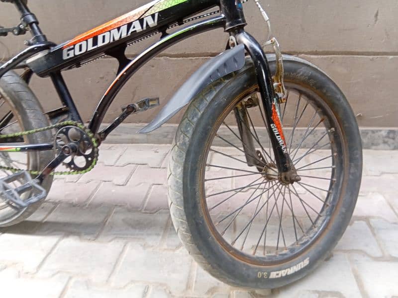 GOLDMAN FAT TYRES_ SPORTS BYCYLE 6