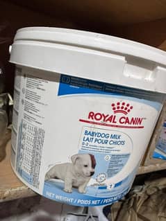 Royal Canin Milk replacer