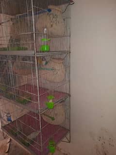 6 portion new cage