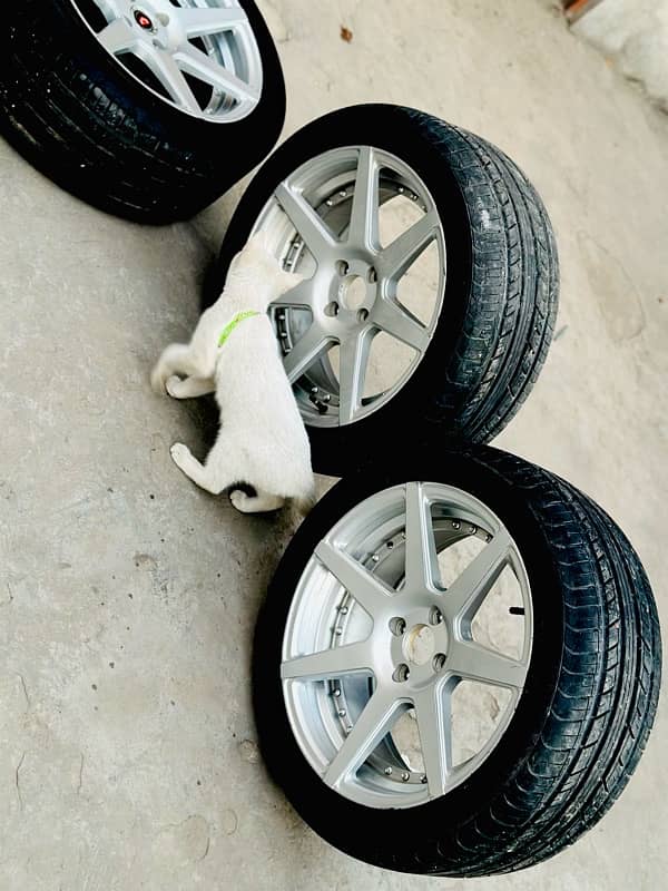 17 inch alloy rim with tyre 1